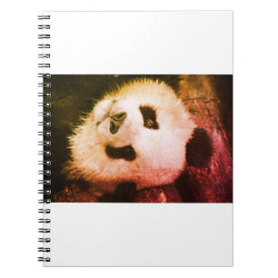 Cuaderno Bear Panda Life Style trending product Notebook