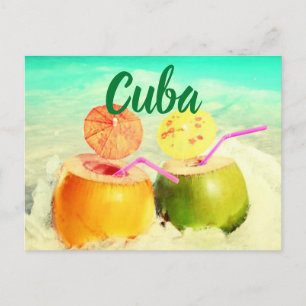 Cuba coconuts postcard