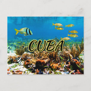 Cuba coral reef postcard