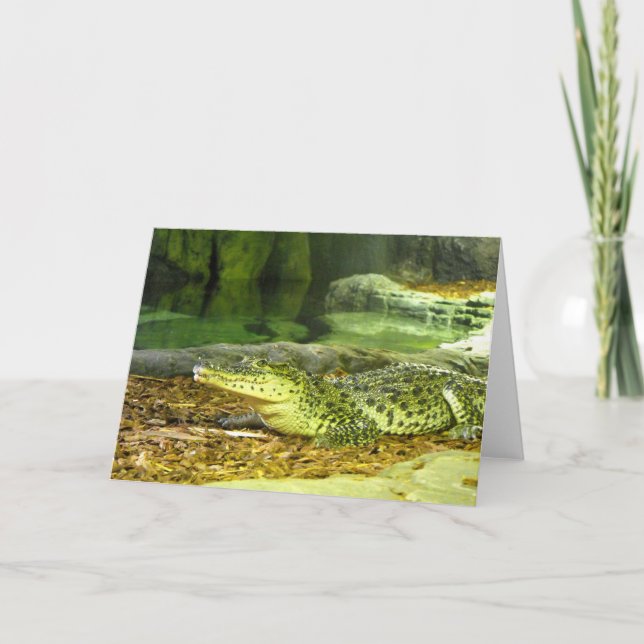 Cuban crocodile holiday card (Front)