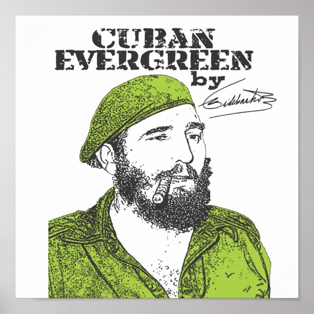 Cuban Evergreen Poster (Front)