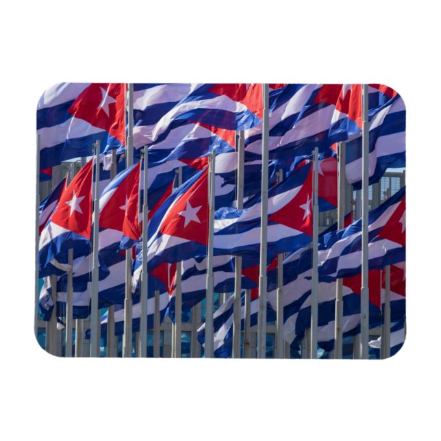 Cuban flags, Havana, Cuba Magnet (Horizontal)