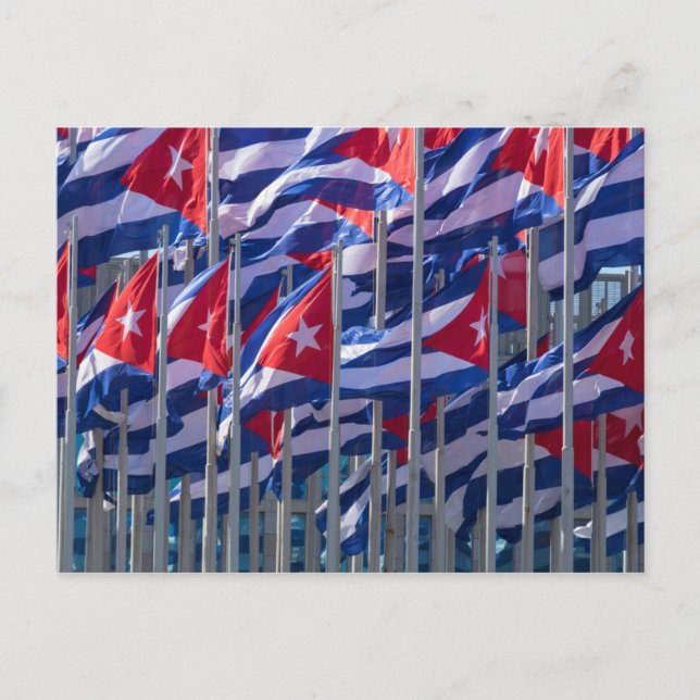 Cuban flags, Havana, Cuba Postcard (Front)