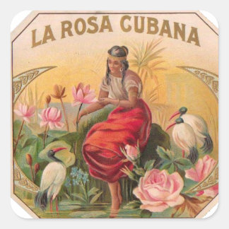 Cuban Rosa Design Vintage Cuba Square Sticker