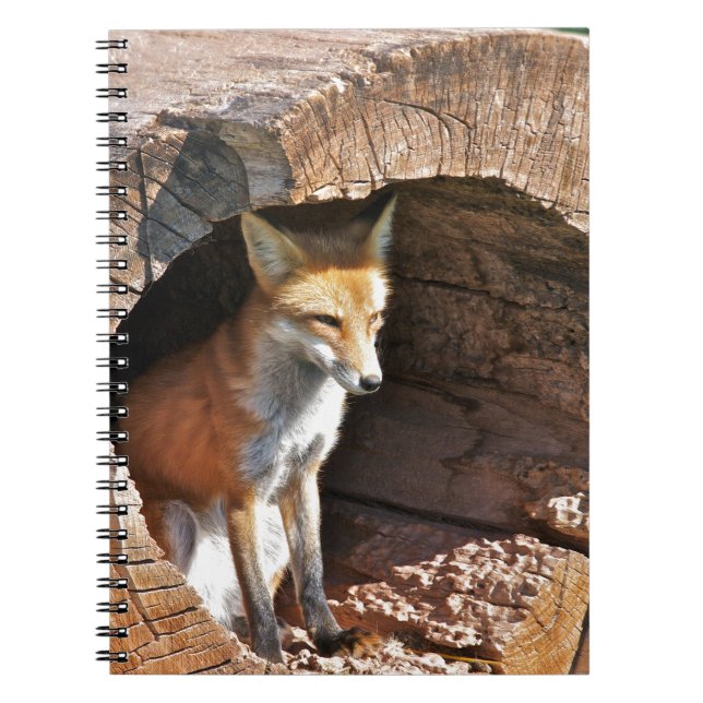 Cubby hole notebook (Front)