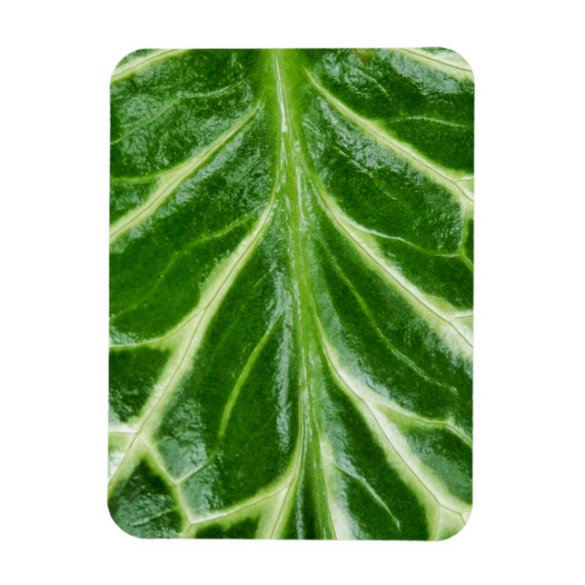 Cuckoo Pint Plant Magnet (Vertical)