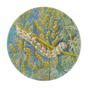 Cucullia Absinthii Wormwood Caterpillar Cutting Board