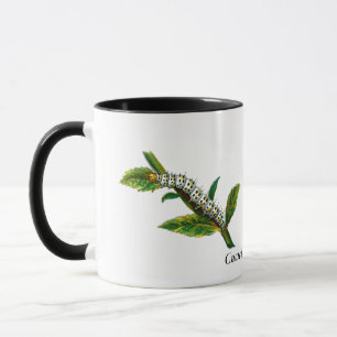 Cucullia verbasci caterpillar mug
