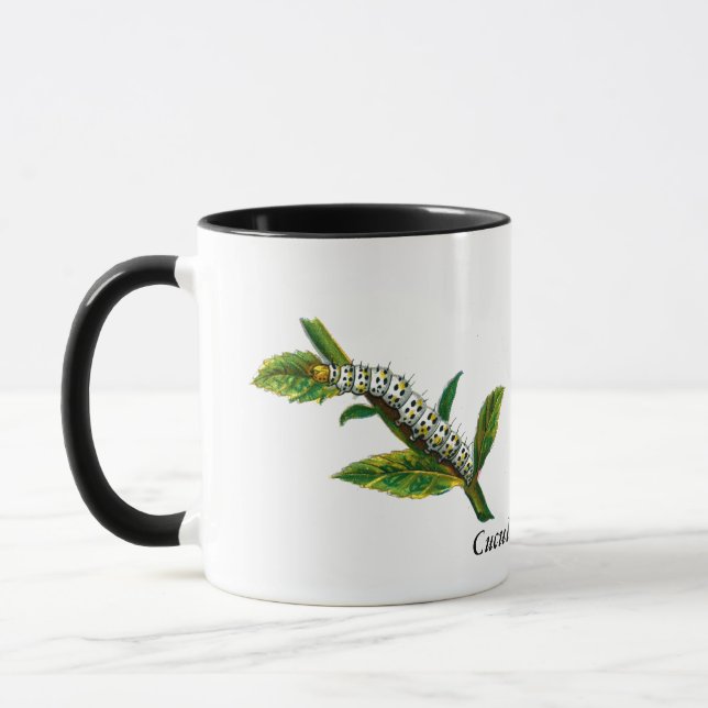 Cucullia verbasci caterpillar mug (Left)