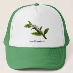 Cucullia verbasci caterpillar trucker hat