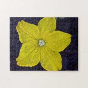 Cucumber Bloom Puzzle