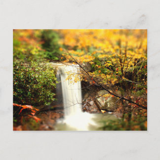 Cucumber Falls Fall Colours Postcard