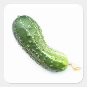 Cucumber Square Sticker