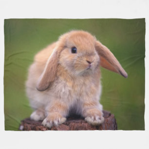 CUDDLE BUNNY FLEECE BLANKET