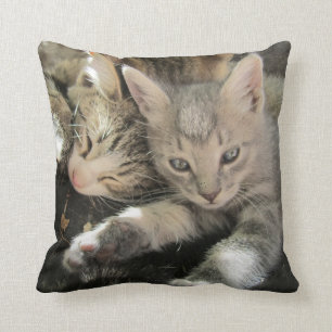 Cuddle Cute Kittens Cushion