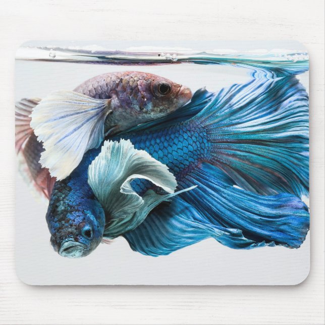 Cuddles Betta Mousepad (Front)