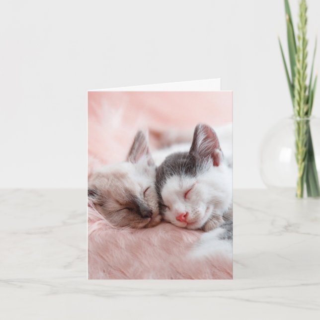 Cuddling Cats - Anniversary Card (Front)