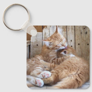 Cuddling Cats Key Ring