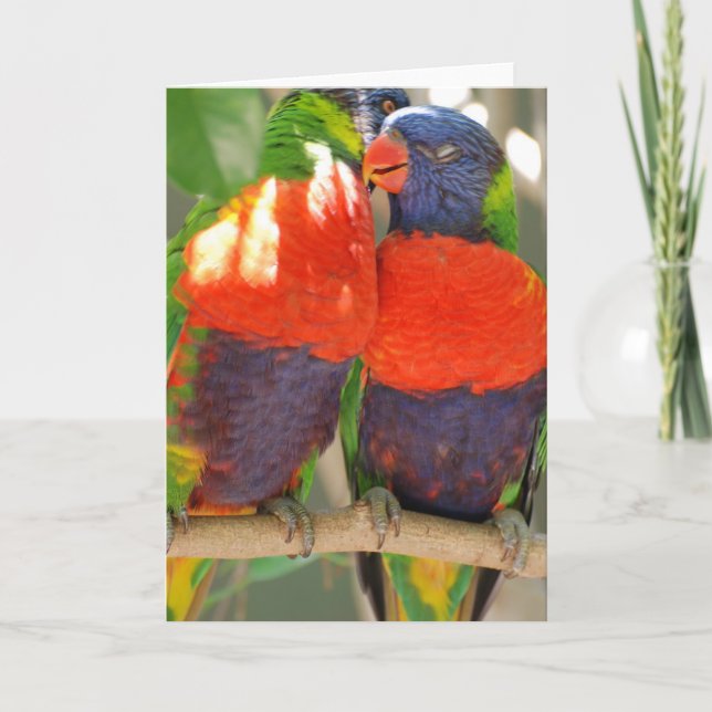 Cuddling Lorikeets Greeting Cards (Front)