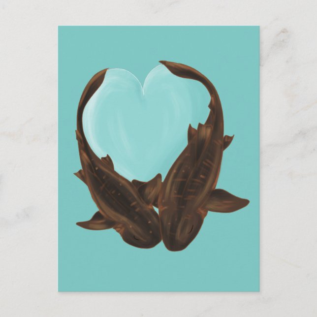 Cuddling Nurse Sharks Postcard (Front)