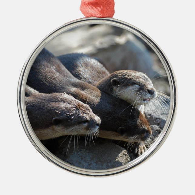 Cuddling Otters Metal Tree Decoration (Front)