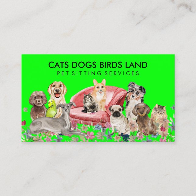 Cuddly Animals on a Red Couch Green Background Business Card (Front)