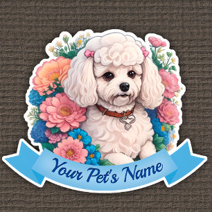 Cuddly Bichon Frisé, pink & blue flowers around