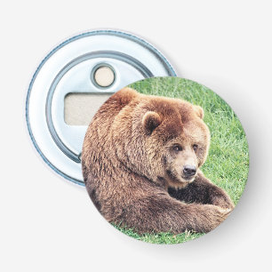 Cuddly Brown Bear Photograph Bottle Opener