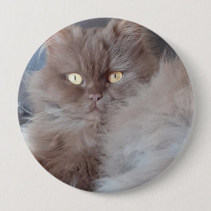Cuddly Cat 10 Cm Round Badge