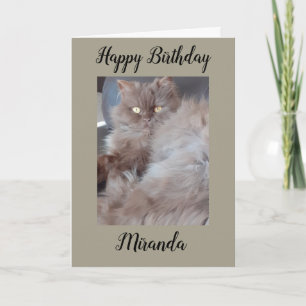 Cuddly Cat Birthday Card