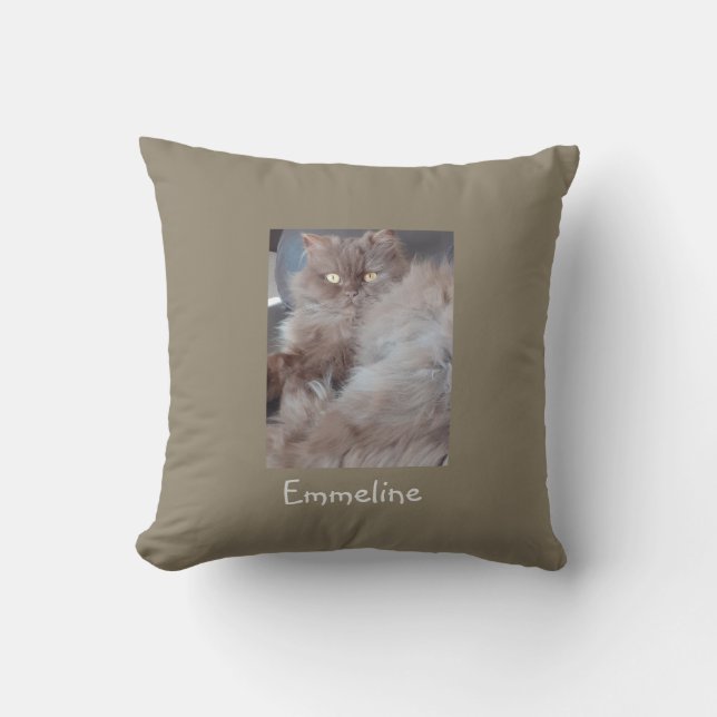Cuddly Cat Cushion (Front)