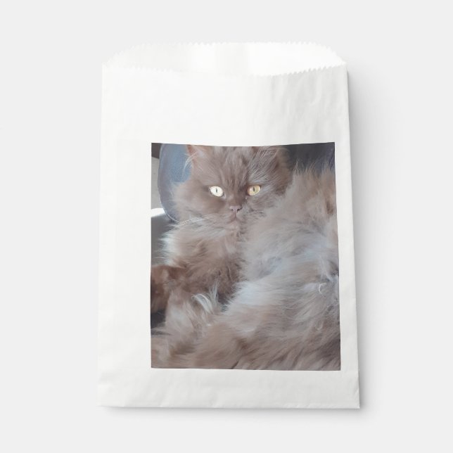 Cuddly Cat  Favour Bag (Front)