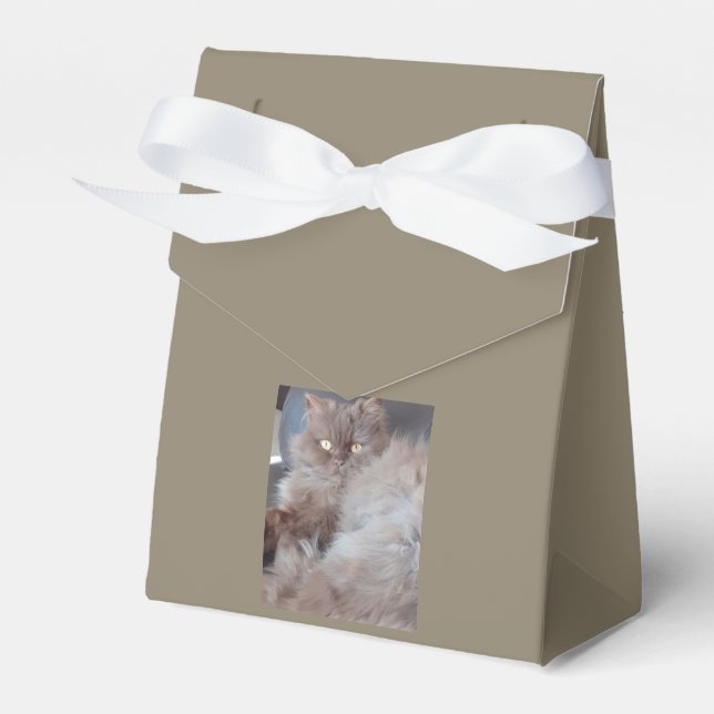 Cuddly Cat Favour Box (Front Side)