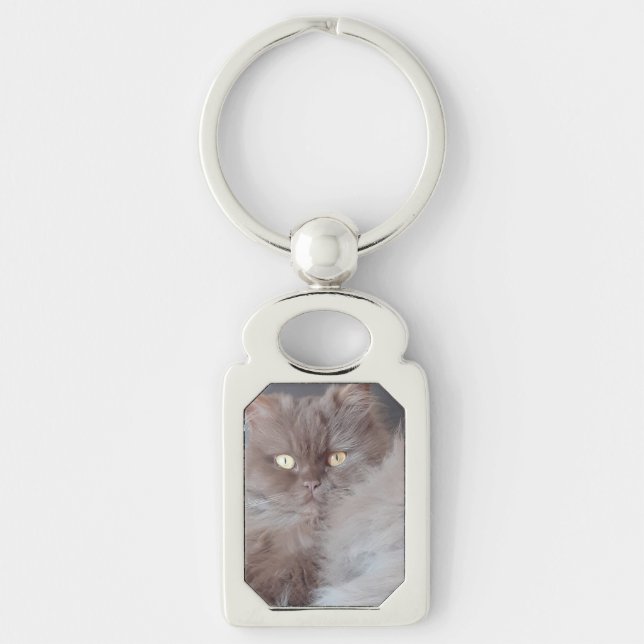 Cuddly Cat Metal Key Ring (Front)