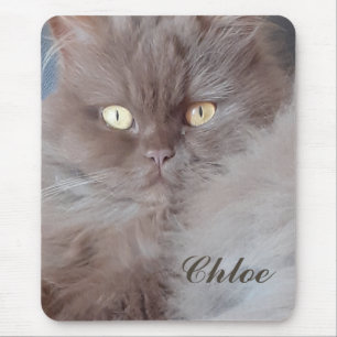 Cuddly Cat  Mouse Pad