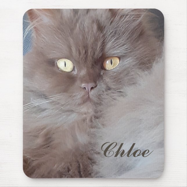Cuddly Cat  Mouse Pad (Front)