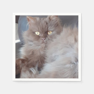 Cuddly Cat Paper Napkin