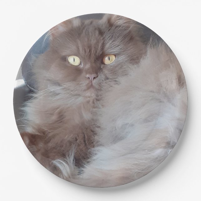 Cuddly Cat  Paper Plate (Front)