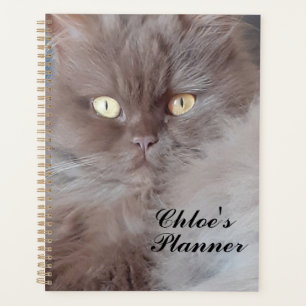 Cuddly Cat Planner