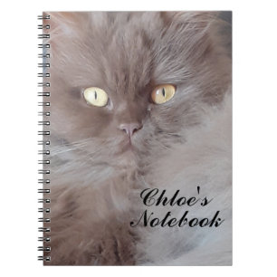 Cuddly Cat Spiral Notebook