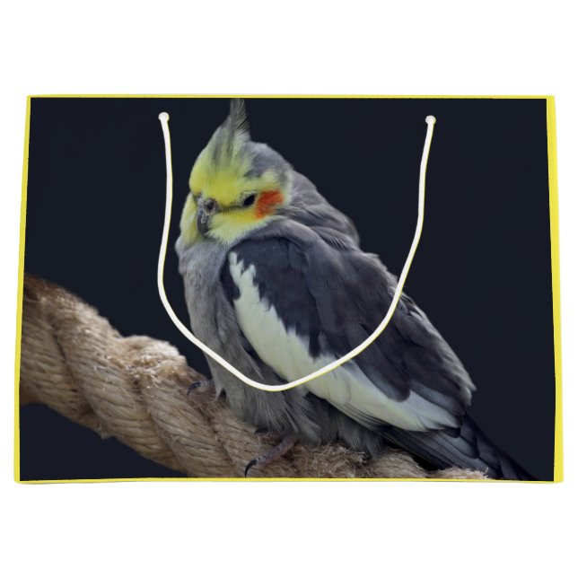 Cuddly Cockatiel Gift Bag (Front)