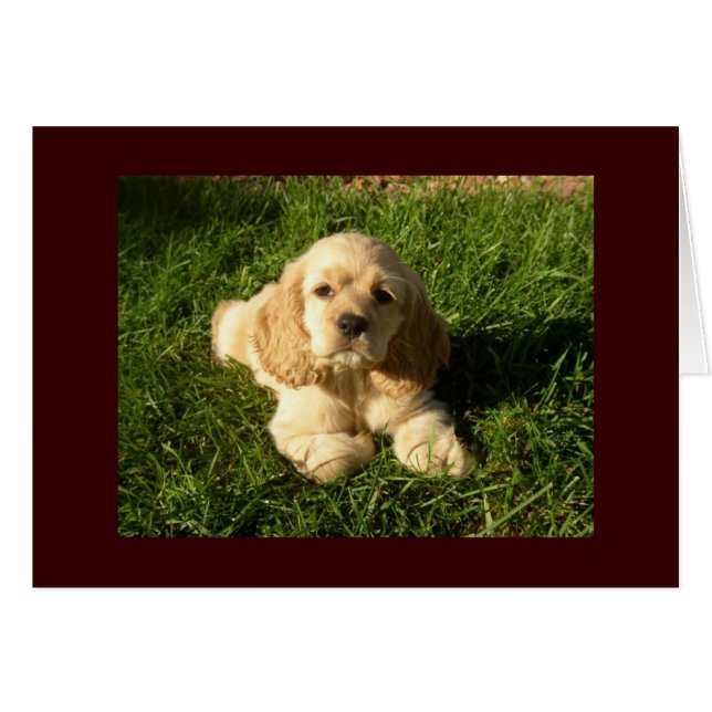 CUDDLY COCKER SENDS WELL WISHES (Front Horizontal)