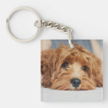 Cuddly Dog Acrylic Keychain