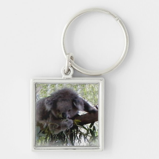Cuddly Koala Key Ring (Front)