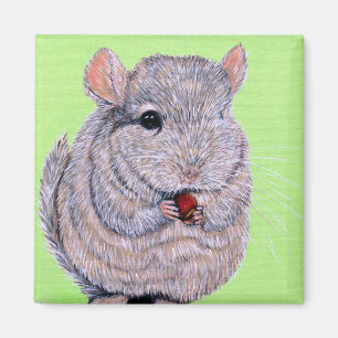 Cuddly Nibbling Chinchilla Painting Magnet