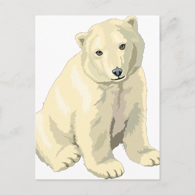 Cuddly  Polar Bear Postcard (Front)