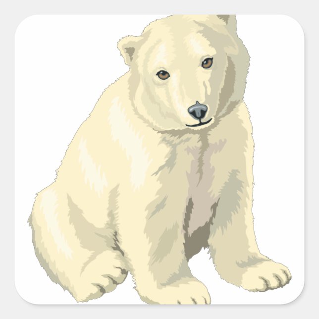 Cuddly  Polar Bear Square Sticker (Front)