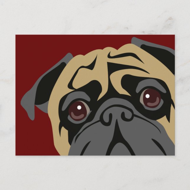 Cuddly Pug Postcard (Front)