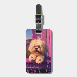 Cuddly Shih Tzu Puppy Smiles, Dog in Purple Chair Luggage Tag