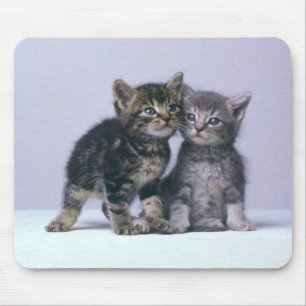 cuddy kittens! mouse pad